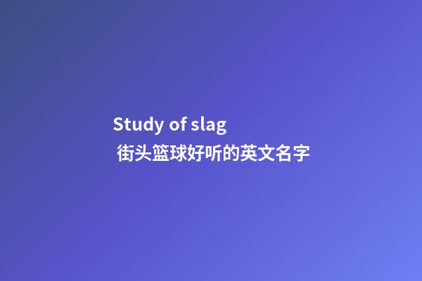 Study of slag 街头篮球好听的英文名字
